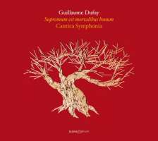 Dufay: Supremum est - Motets vol. 2